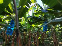 WhatsApp Image 2020-12-12 at 14.53.01 (1)