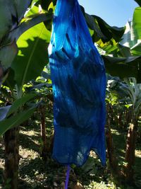 WhatsApp Image 2020-12-12 at 14.53.02