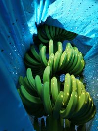 WhatsApp Image 2020-12-12 at 14.56.06