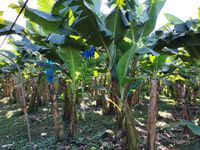 WhatsApp Image 2020-12-12 at 14.56.10