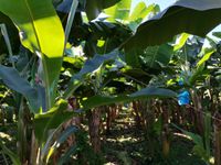 WhatsApp Image 2020-12-12 at 14.56.11