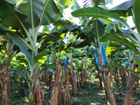 WhatsApp Image 2020-12-12 at 14.56.12