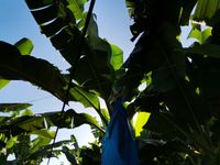 WhatsApp Image 2020-12-12 at 14.56.13