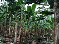 WhatsApp Image 2020-06-28 at 20.38.03 (1)