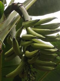 WhatsApp Image 2020-06-28 at 20.38.28