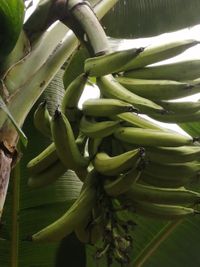 WhatsApp Image 2020-06-28 at 20.38.29 (1)