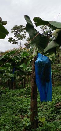 WhatsApp Image 2020-12-04 at 02.35.52