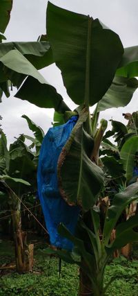 WhatsApp Image 2020-12-04 at 02.35.53 (1)