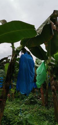 WhatsApp Image 2020-12-04 at 02.35.53 (3)