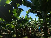 WhatsApp Image 2020-11-23 at 15.15.51