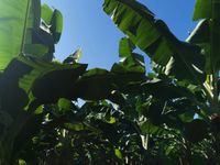 WhatsApp Image 2020-11-23 at 15.15.52