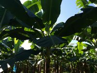 WhatsApp Image 2020-11-23 at 15.16.00