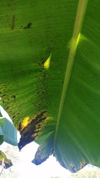 WhatsApp Image 2021-03-13 at 15.17.32