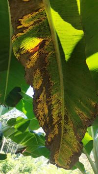 WhatsApp Image 2021-03-13 at 15.18.05