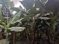 WhatsApp Image 2021-01-29 at 14.33.43 (1)