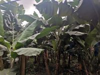 WhatsApp Image 2021-01-29 at 14.33.43 (2)