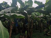 WhatsApp Image 2021-01-29 at 14.33.46 (1)