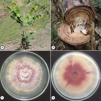 1240-Imágenes-7762-1-17-20190820