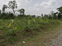 WhatsApp Image 2020-06-25 at 18.21.45