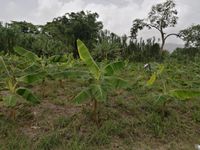 WhatsApp Image 2020-06-25 at 18.21.46