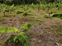 WhatsApp Image 2020-06-25 at 18.25.05