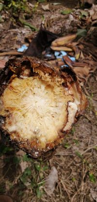 WhatsApp Image 2020-06-25 at 19.56.32