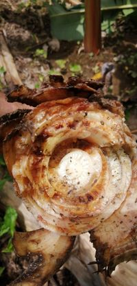 WhatsApp Image 2020-06-25 at 19.56.33 (5)