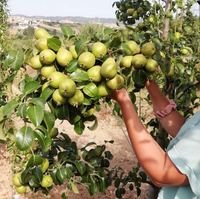 Captura de pantalla 2020-07-12 a las 17.05.40