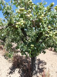 WhatsApp Image 2020-06-23 at 10.32.32 (2)