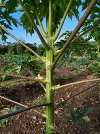 WhatsApp Image 2020-11-29 at 14.16.17