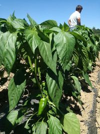 102279643_169005967981725_8261660292167039926_n