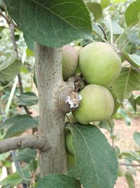 105752564_174412097441112_985399209436505615_n