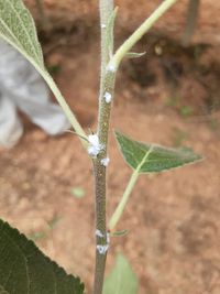 106004542_174412124107776_4636134981658368615_n