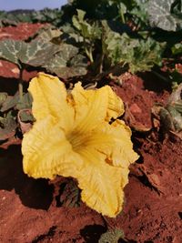 109309122_180687683480220_2638842386118008223_o