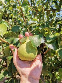 109313098_181884610027194_2183696504680316025_o