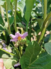 109837445_182341969981458_4805250410188910191_o