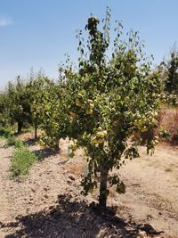 110875848_181884636693858_2992026612174997684_o