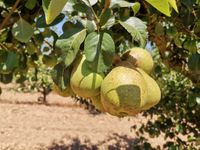 112133707_181884696693852_3396234798957014271_o