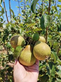 112653593_183474426534879_5648933657885526375_o