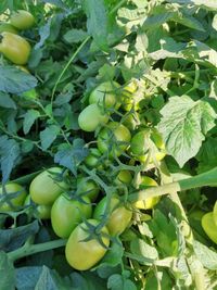 117944934_191248215757500_4059979450518822846_o