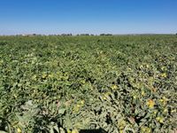 117991098_191248312424157_2042979451062943420_o