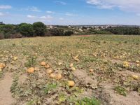 118242557_192654855616836_3093960565003632086_o