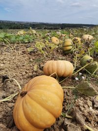 118287985_192654795616842_9005293788427028903_o