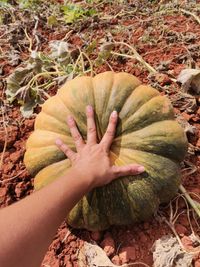 118356361_192654915616830_2708423669505508907_o