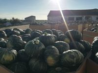 77100009_165822878300034_2028261944342872064_o