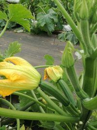 83181178_116529306562725_4780821353802498048_o