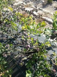 85135316_167784994770489_916647751561773056_n