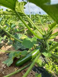 96371399_158963745652614_4983829180685746176_n