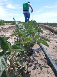 98015392_161574068724915_2396345056836452352_o